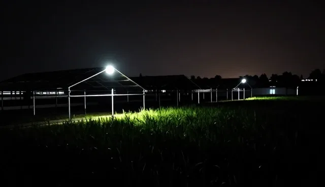 食品分装过程中常见质量问题及处理方向