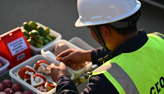 食品分装包装袋使用中的常见问题及处理建议